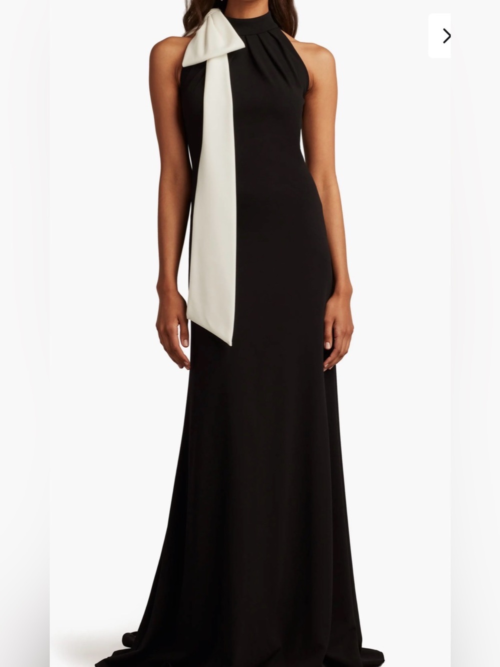 Tadashi Shoji Bow Detailed Sleeveless Gown, XS